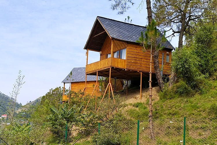 Suro Tree house Shimla