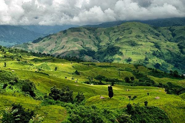 Ziro Valley: An Offbeat Destination in Arunachal Pradesh -