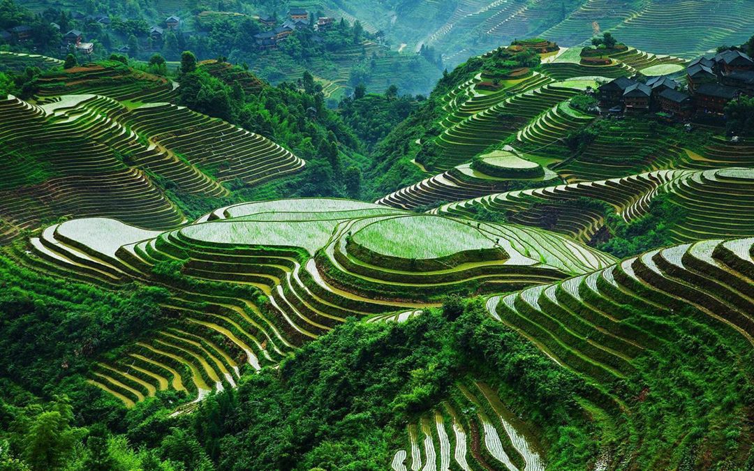 ifugao rice terraces 